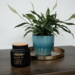 gestionarea-stresului